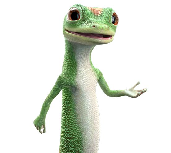 Gecko PNG    图片编号:105630
