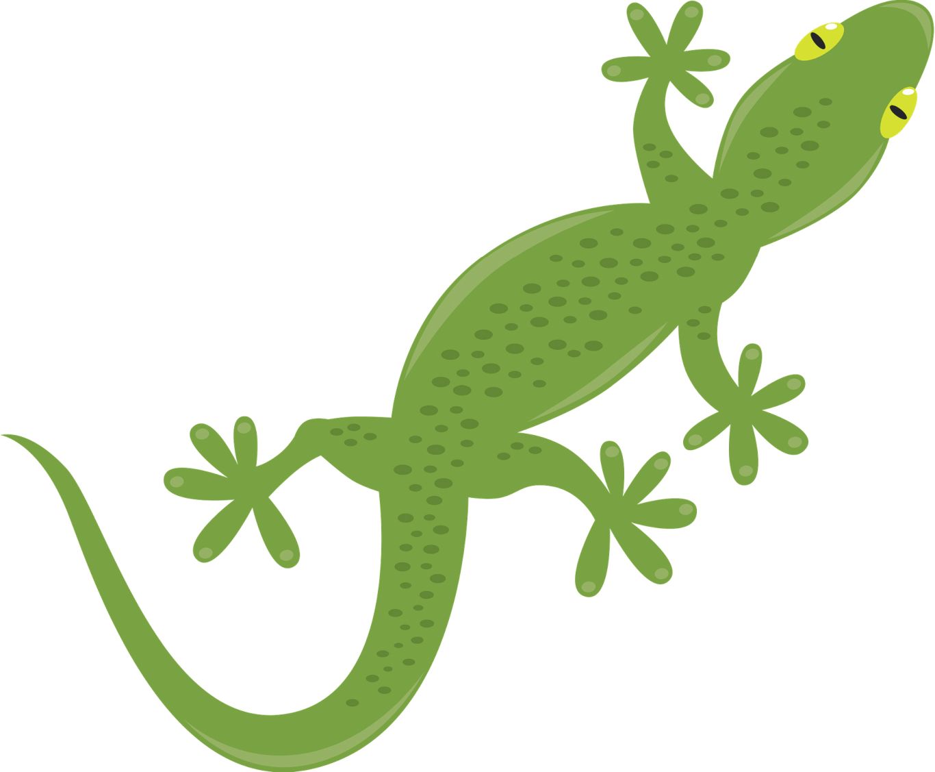 Gecko PNG    图片编号:105631