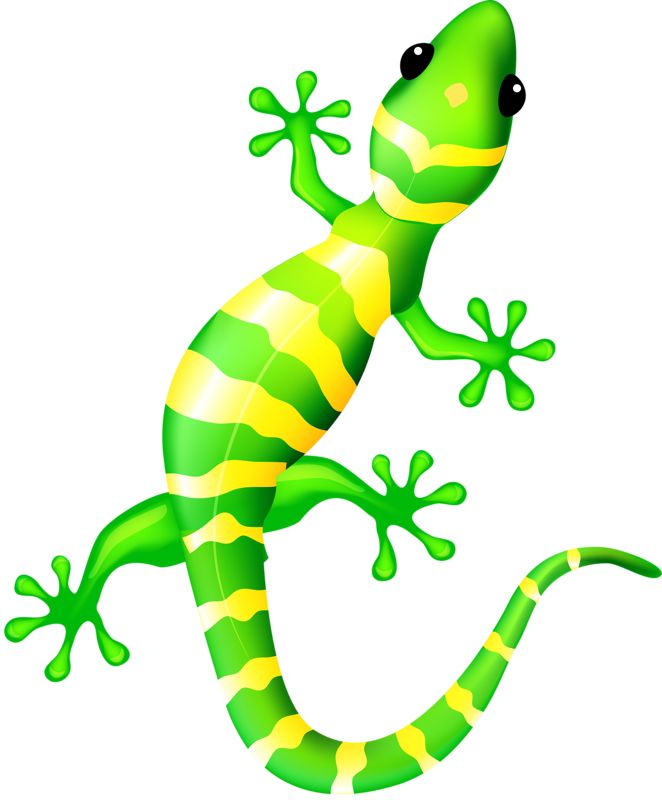 Gecko PNG    图片编号:105606