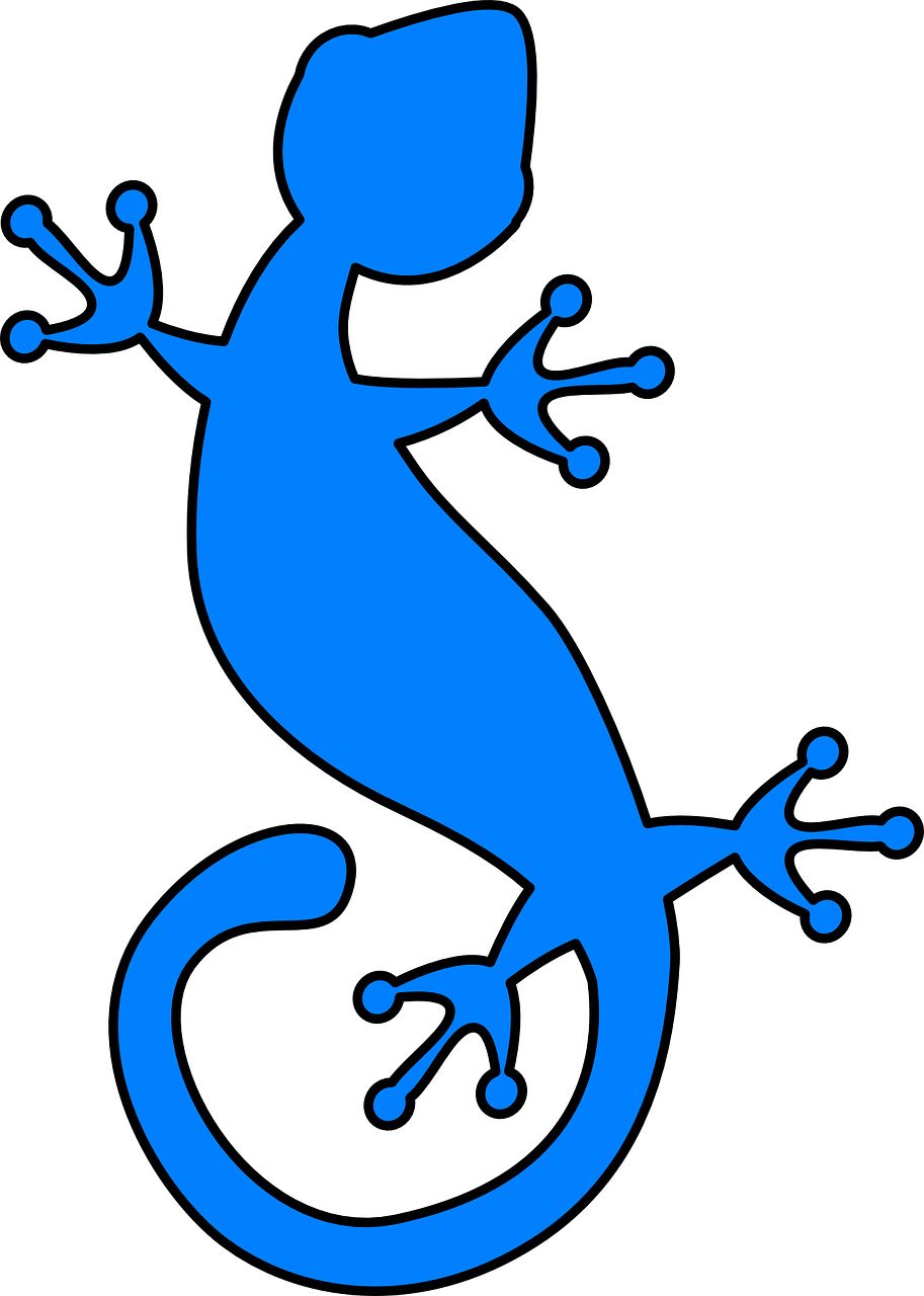 Gecko PNG    图片编号:105610