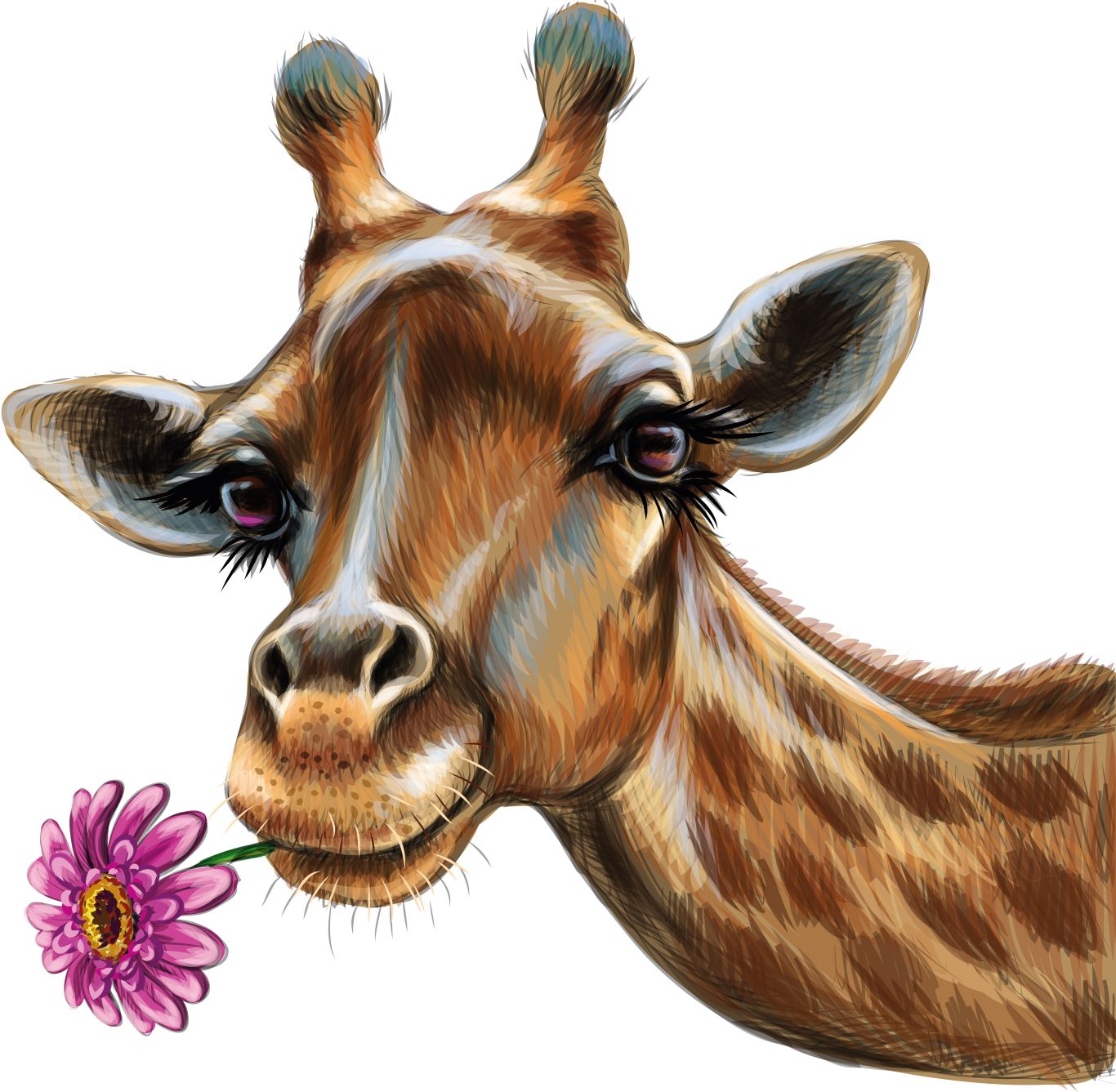 Giraffe PNG    图片编号:103924