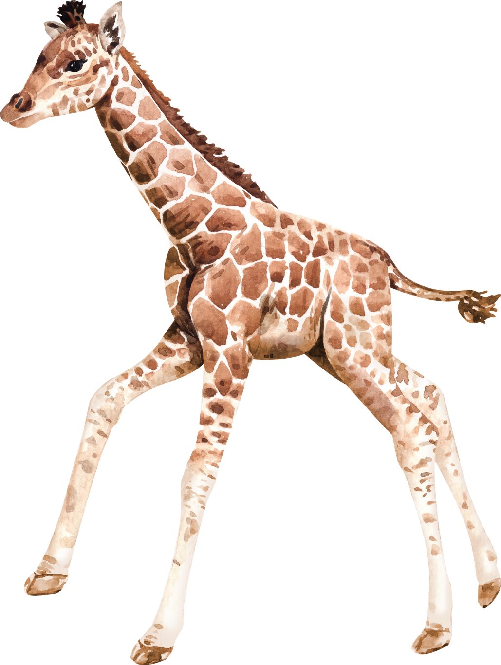 Giraffe PNG    图片编号:103931