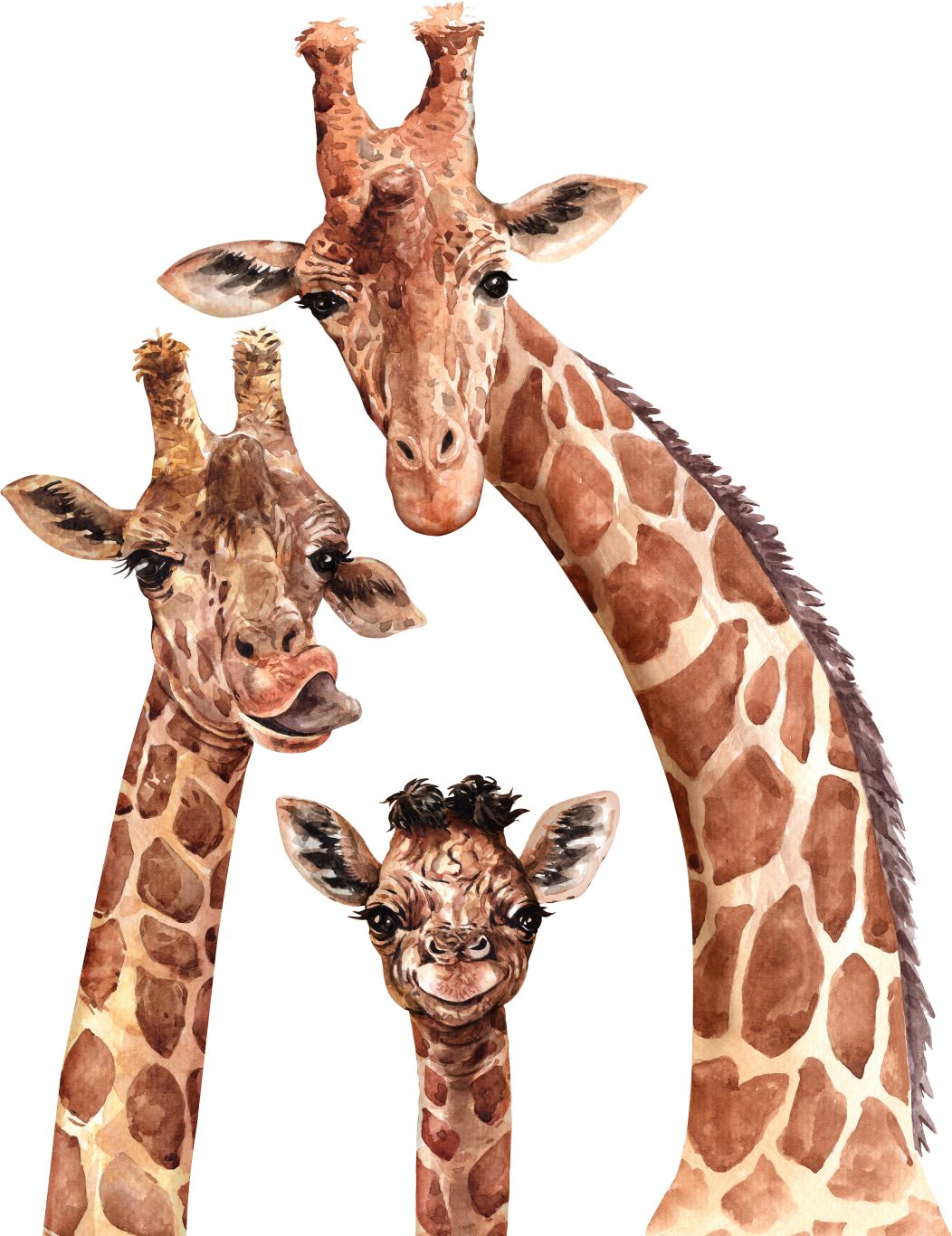 Giraffe PNG    图片编号:103933