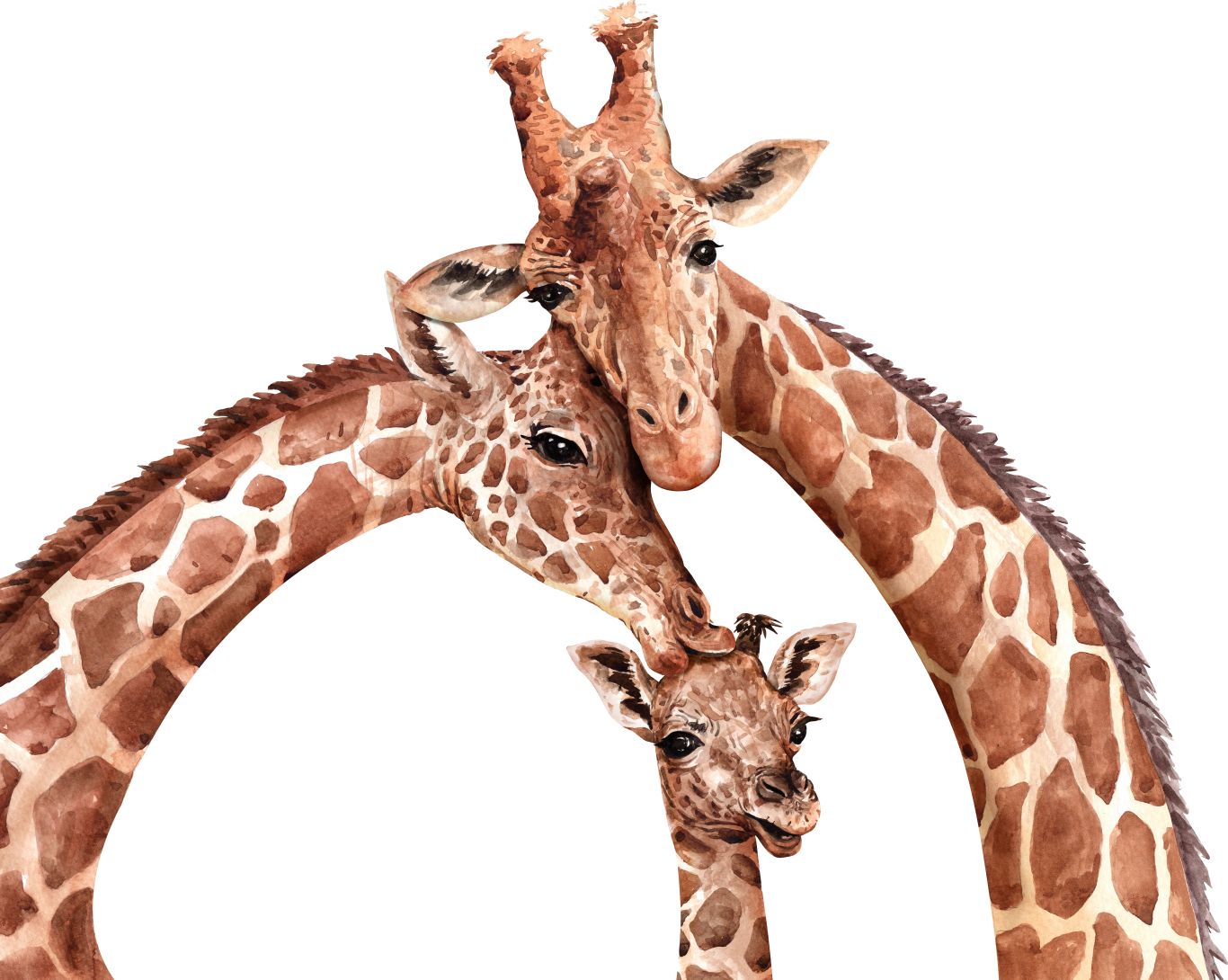 Giraffe PNG    图片编号:103934