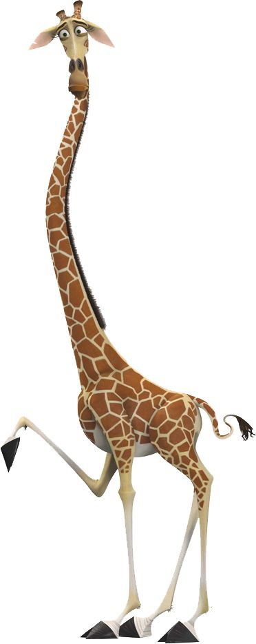 Giraffe PNG    图片编号:13532