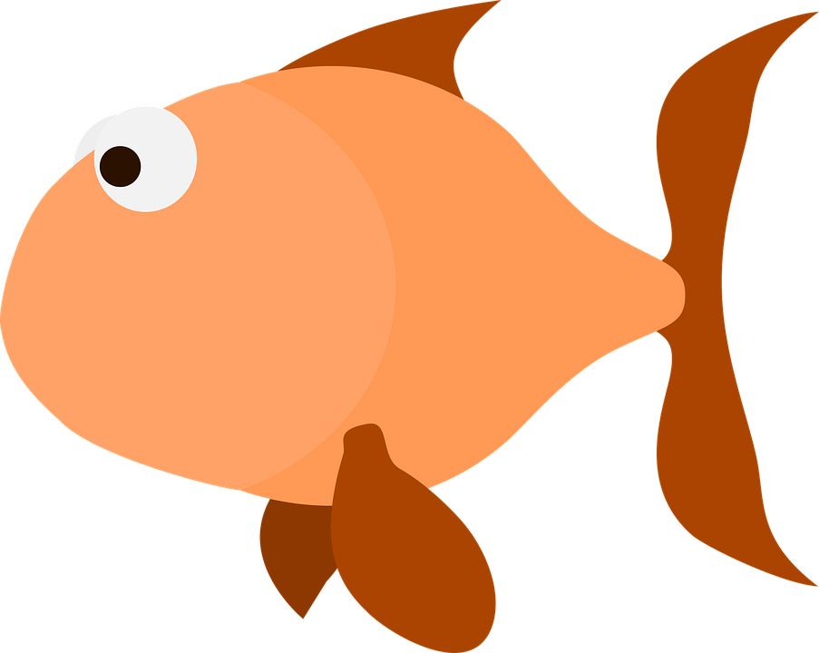 Goldfish PNG    图片编号:67602