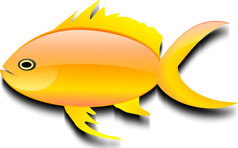 Goldfish PNG    图片编号:67606