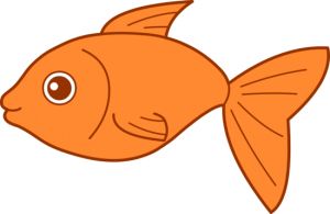 Goldfish PNG    图片编号:67625
