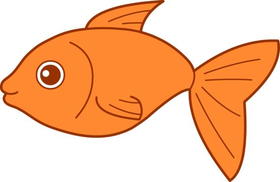 Goldfish PNG    图片编号:67626