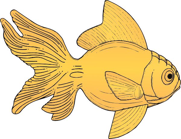 Goldfish PNG    图片编号:67646