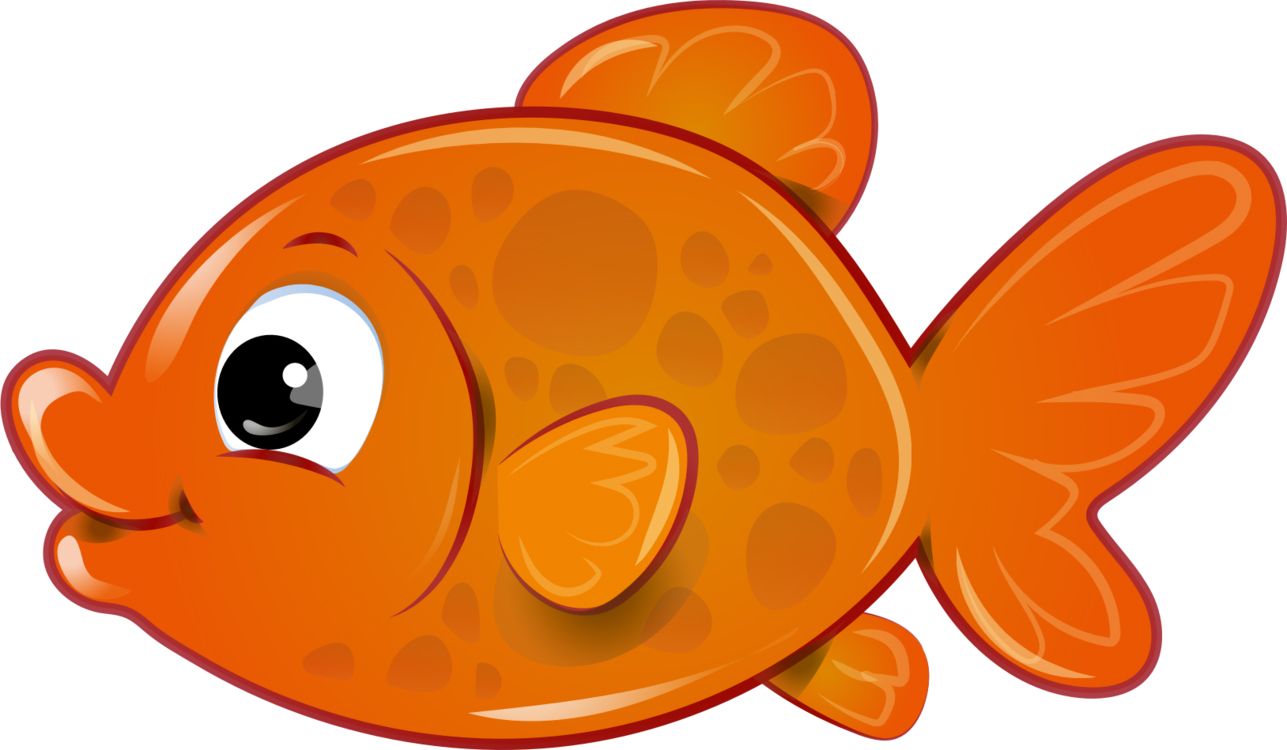 Goldfish PNG    图片编号:67648