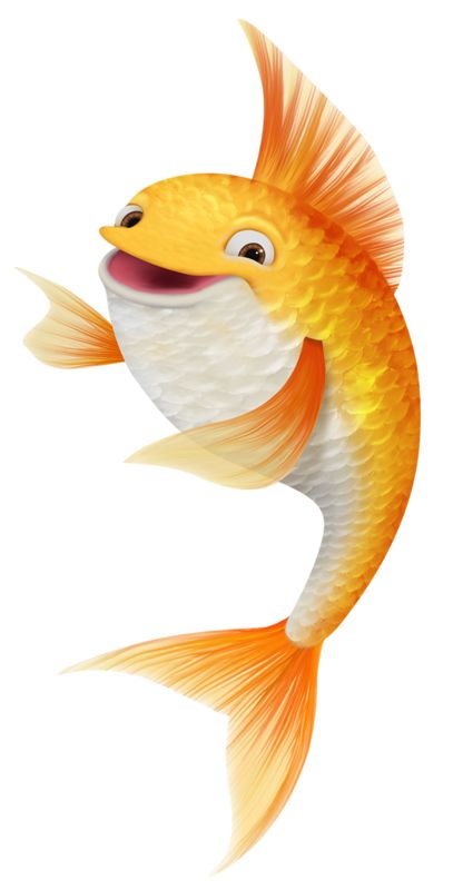 Goldfish PNG    图片编号:67661