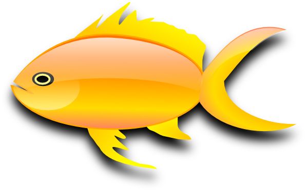 Goldfish PNG    图片编号:67670