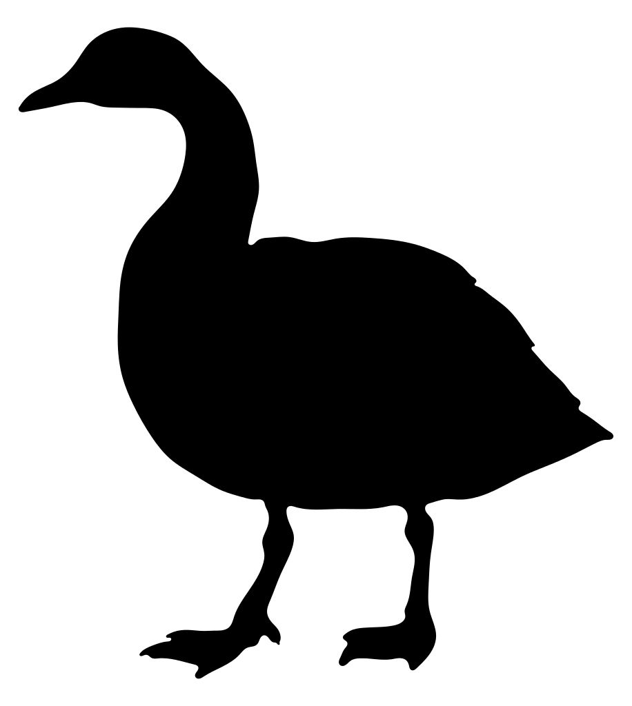 Goose PNG    图片编号:20514