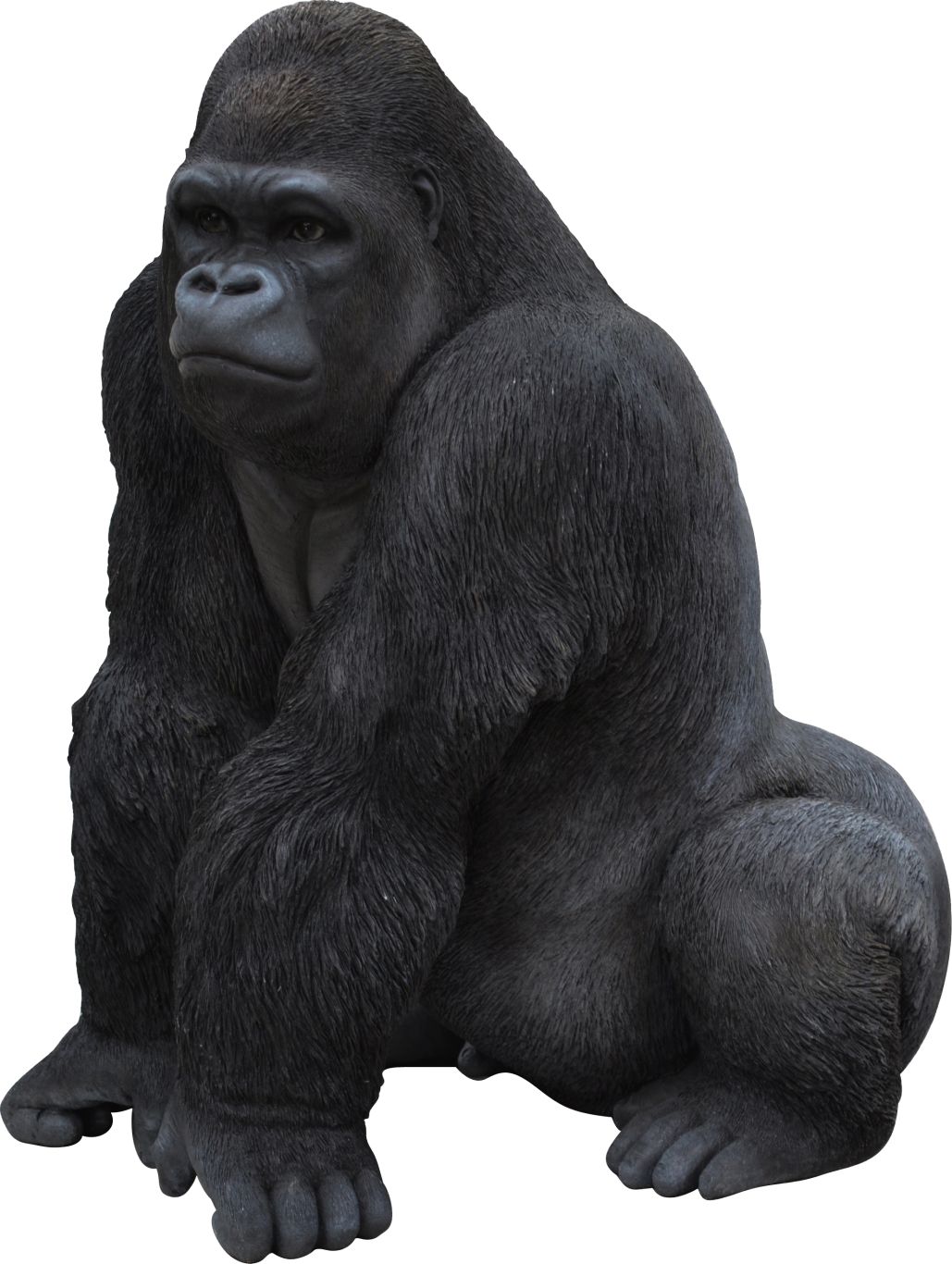 Gorilla PNG    图片编号:18712