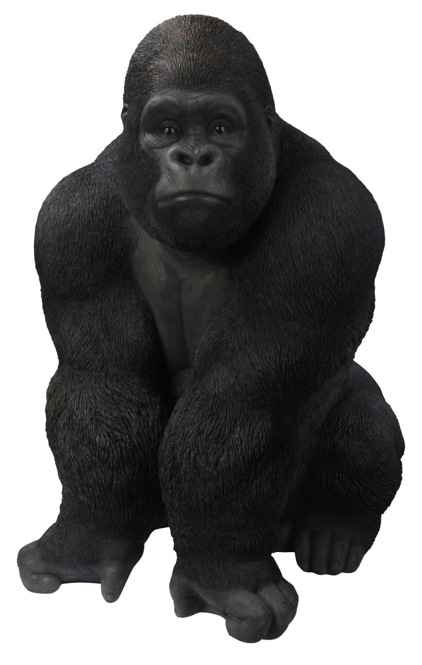 Gorilla PNG    图片编号:18715