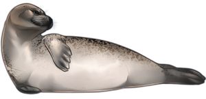 Harbor seal PNG    图片编号:25070