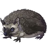 Hedgehog PNG    图片编号:21449