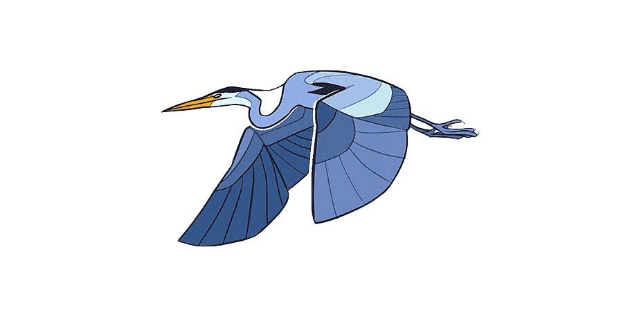 Heron PNG    图片编号:107447
