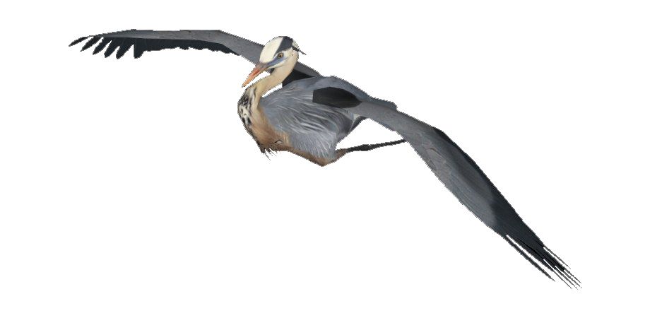 Heron PNG    图片编号:107453