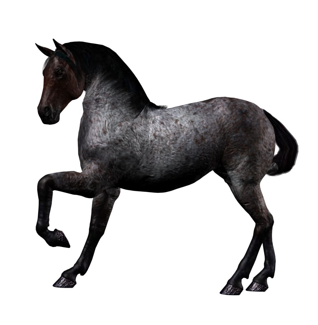 Horse png image    图片编号:2531