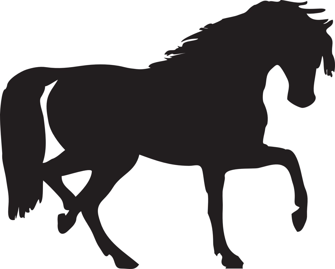 Black horse siluete png image    图片编号:2548