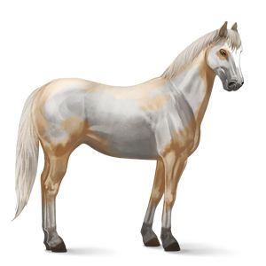 Horse png image    图片编号:2554