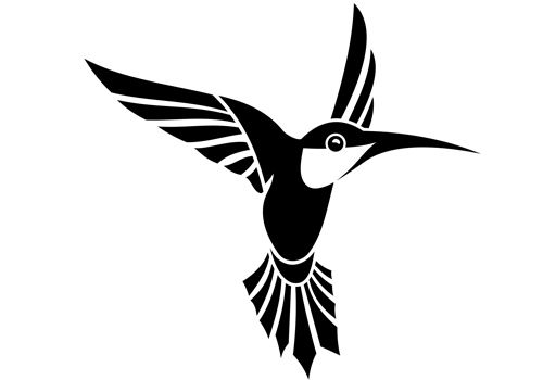 Hummingbird PNG    图片编号:67111