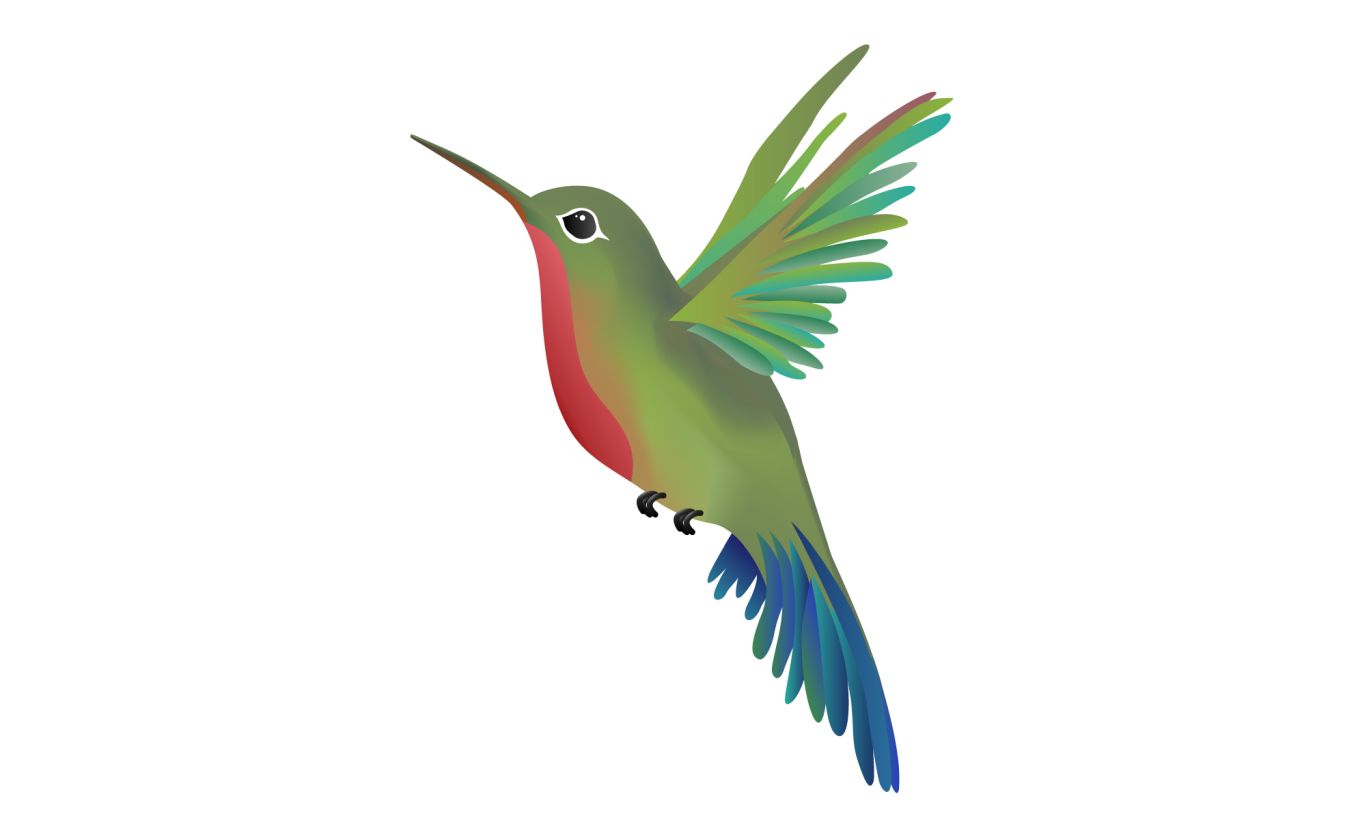 Hummingbird PNG    图片编号:67112