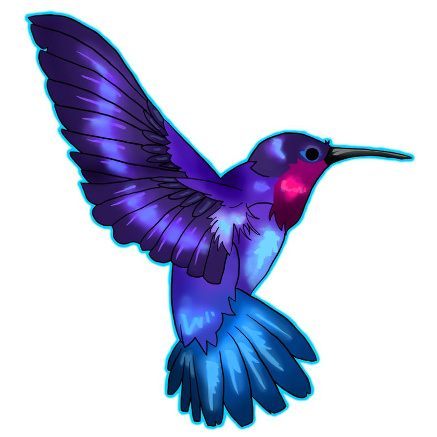 Hummingbird PNG    图片编号:67128