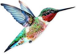 Hummingbird PNG    图片编号:67133