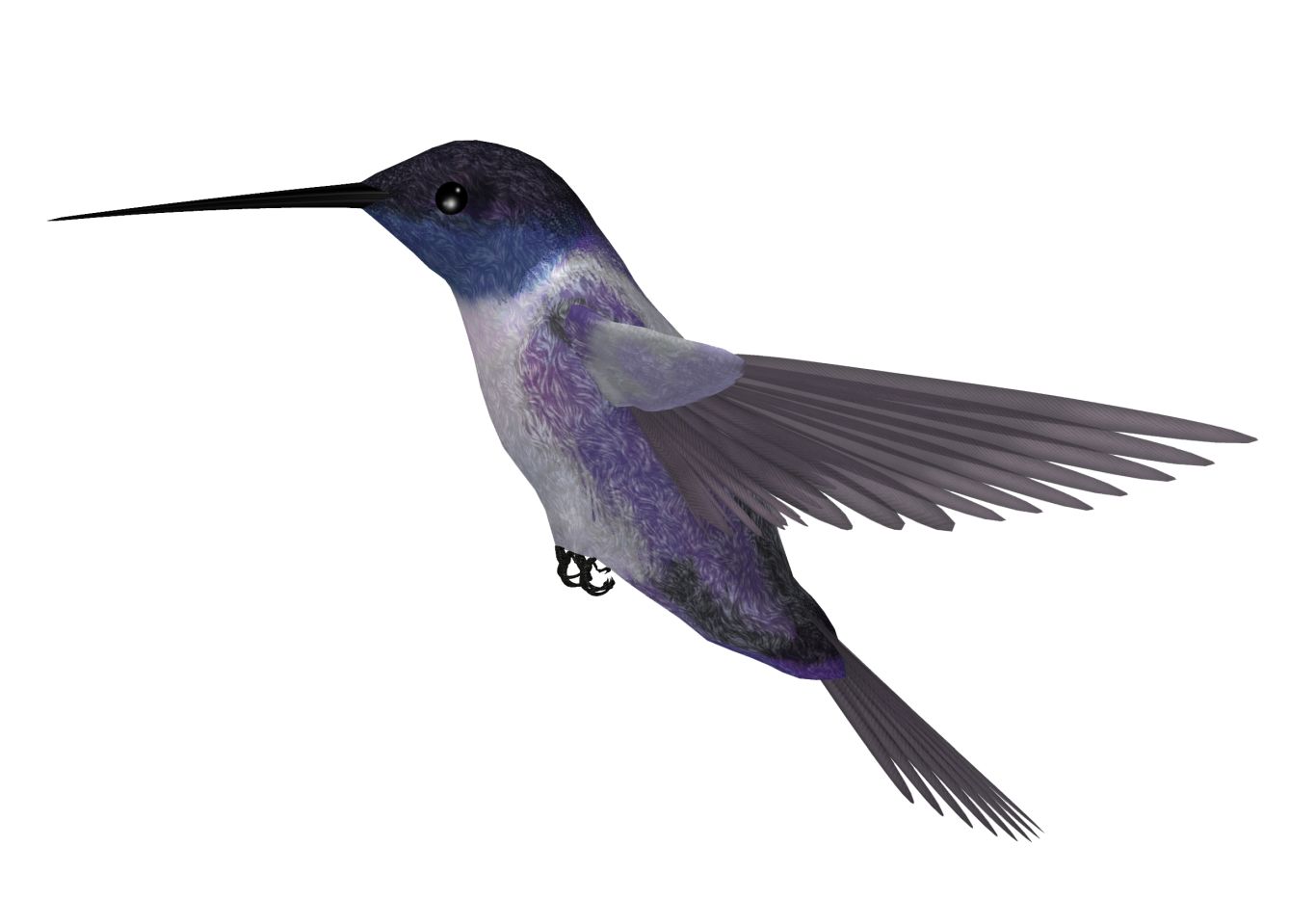 Hummingbird PNG    图片编号:67149