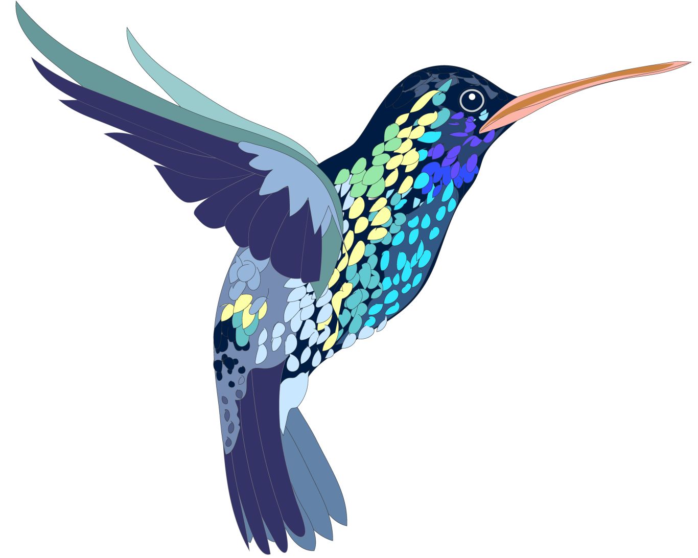 Hummingbird PNG    图片编号:67155