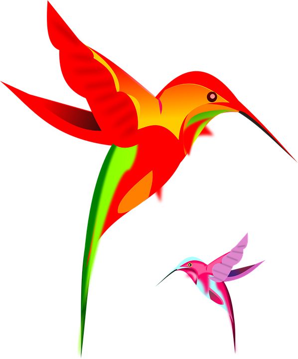 Hummingbird PNG    图片编号:67160