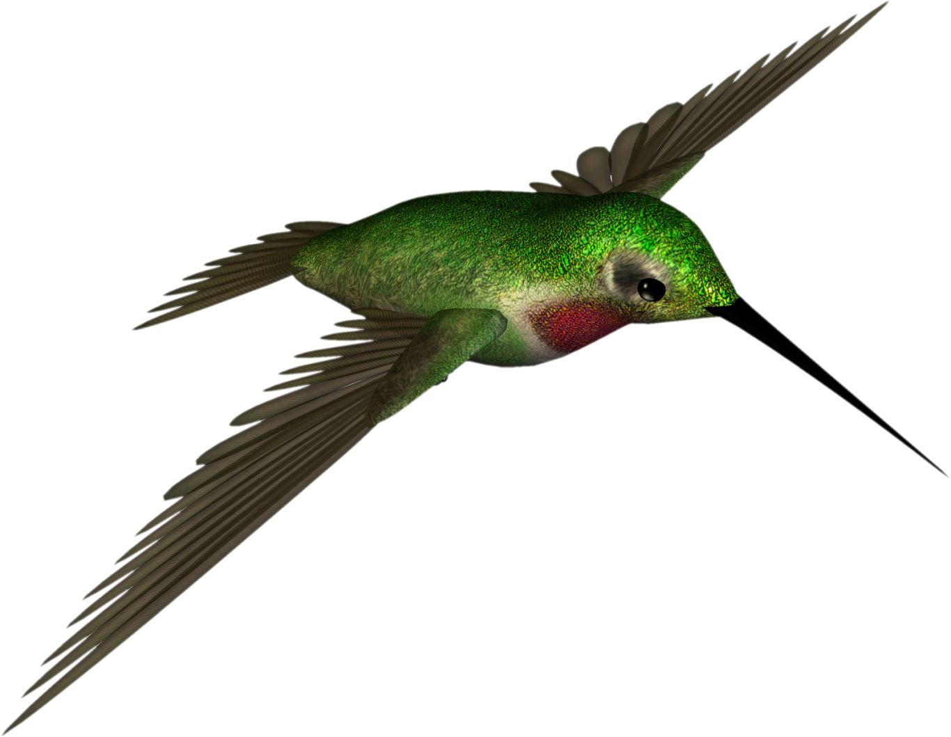 Hummingbird PNG    图片编号:67165