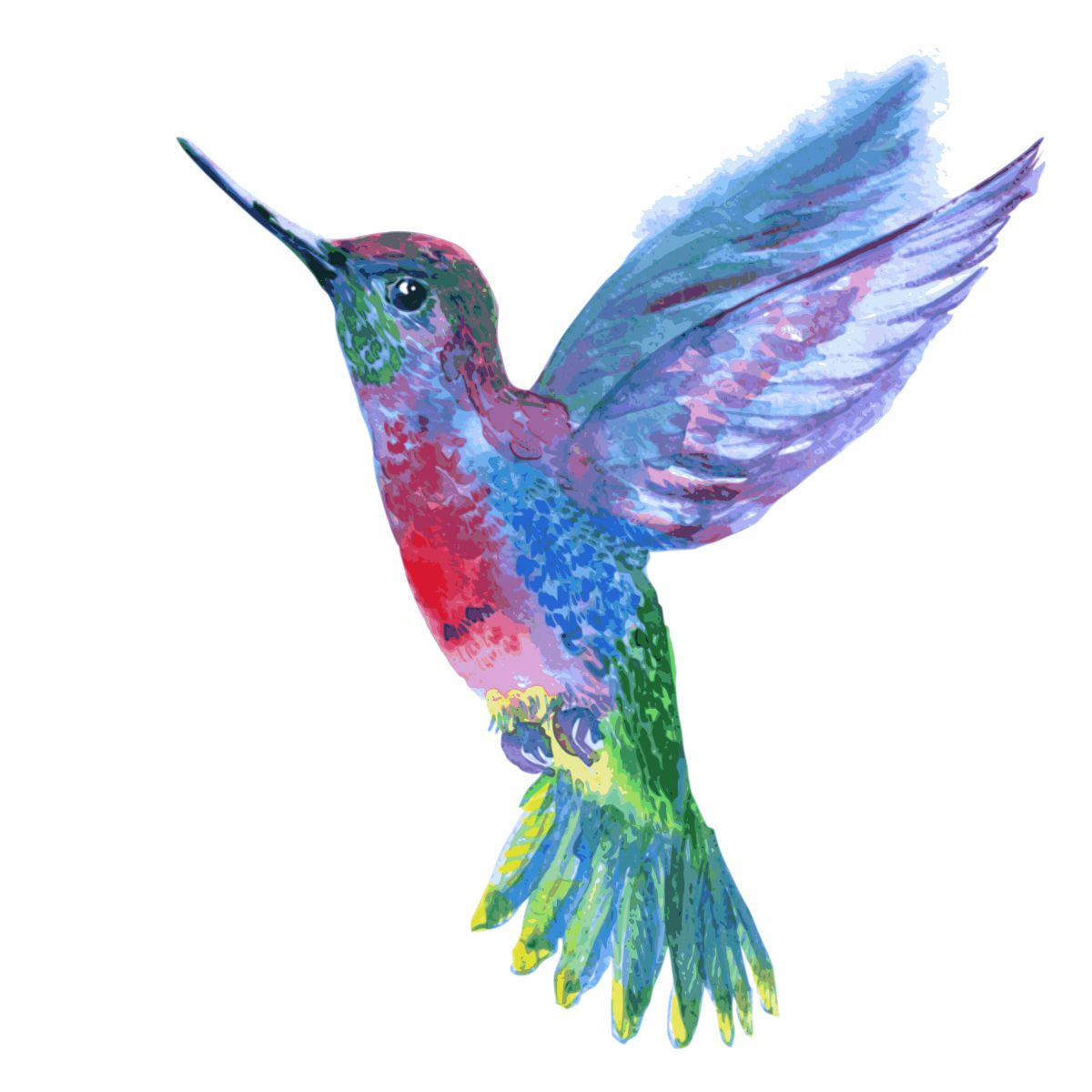 Hummingbird PNG    图片编号:67168