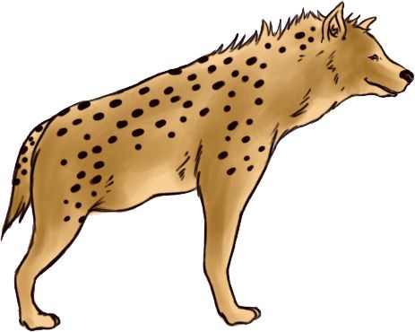 Hyena PNG    图片编号:31414
