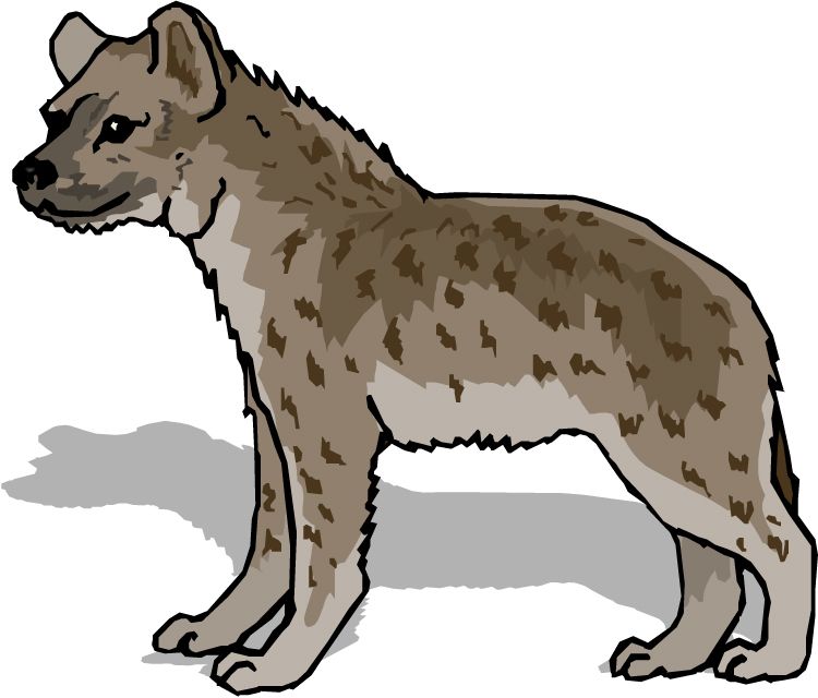 Hyena PNG    图片编号:31430
