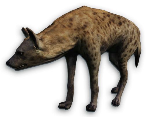 Hyena PNG    图片编号:31432