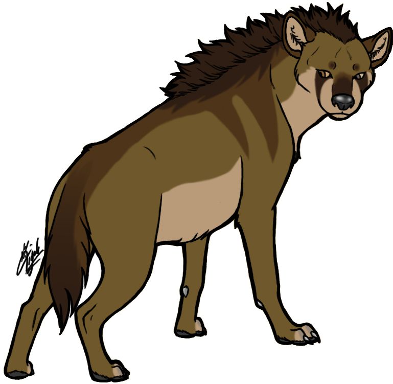 Hyena PNG    图片编号:31450
