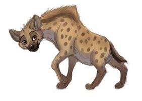 Hyena PNG    图片编号:31454