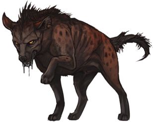 Hyena PNG    图片编号:31455