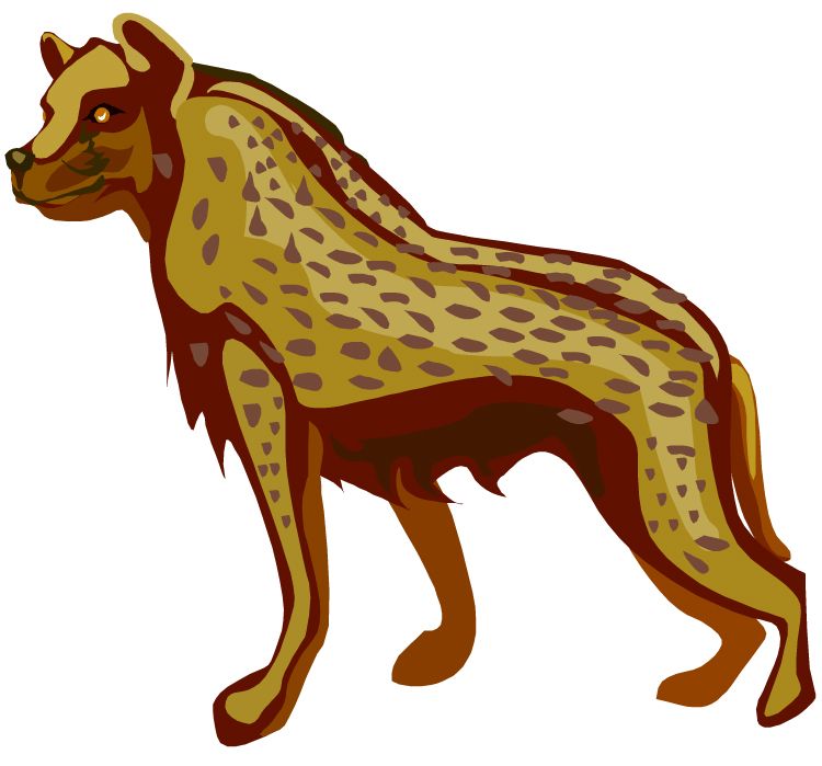 Hyena PNG    图片编号:31456
