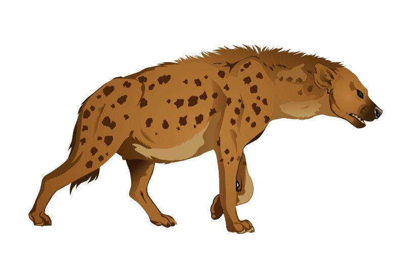Hyena PNG    图片编号:31457