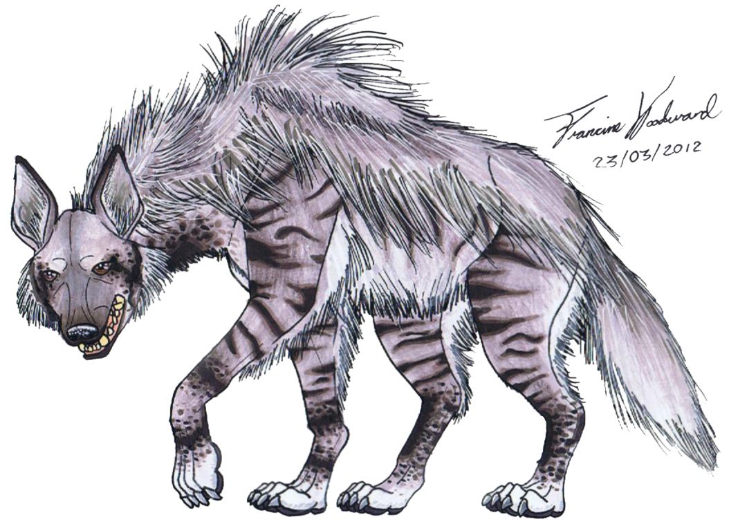 Hyena PNG    图片编号:31472
