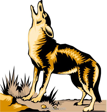Jackal, coyote PNG    图片编号:60166