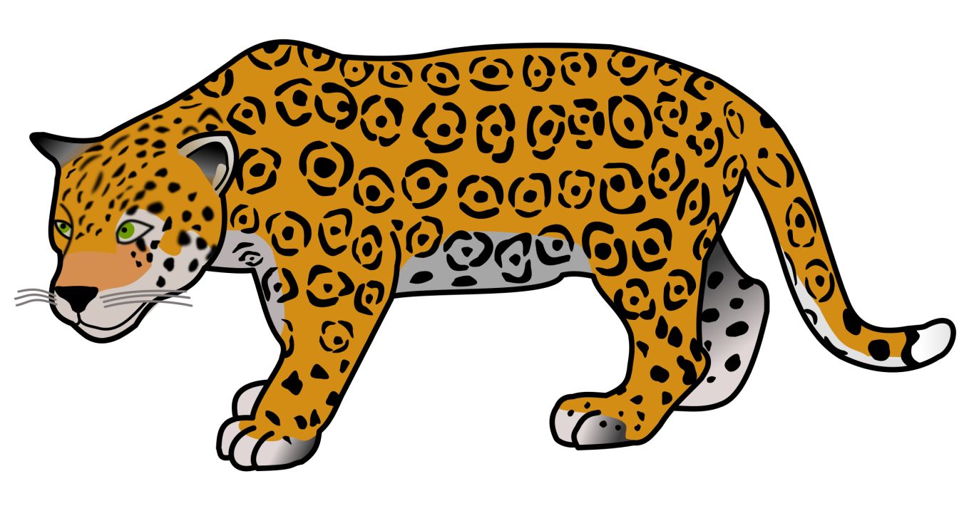 Jaguar PNG    图片编号:20747