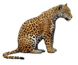 Jaguar PNG    图片编号:20749