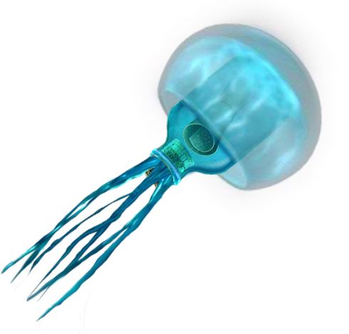 Jellyfish PNG    图片编号:47045