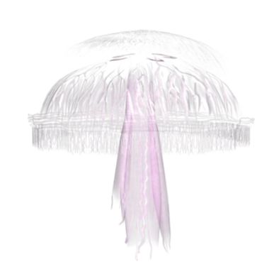 Jellyfish PNG    图片编号:47037